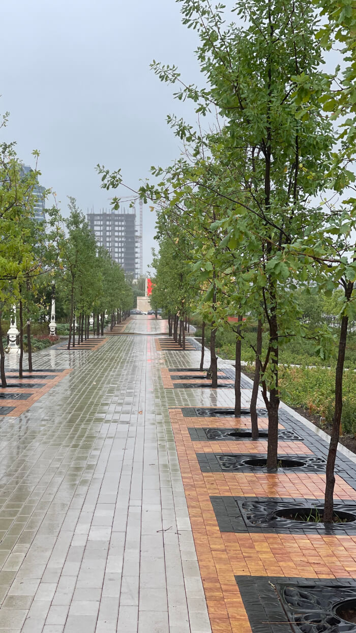 Приствольная решетка для дерева ZKING CRUST 1.2х1.2м Черная в Кирово-Чепецке фото