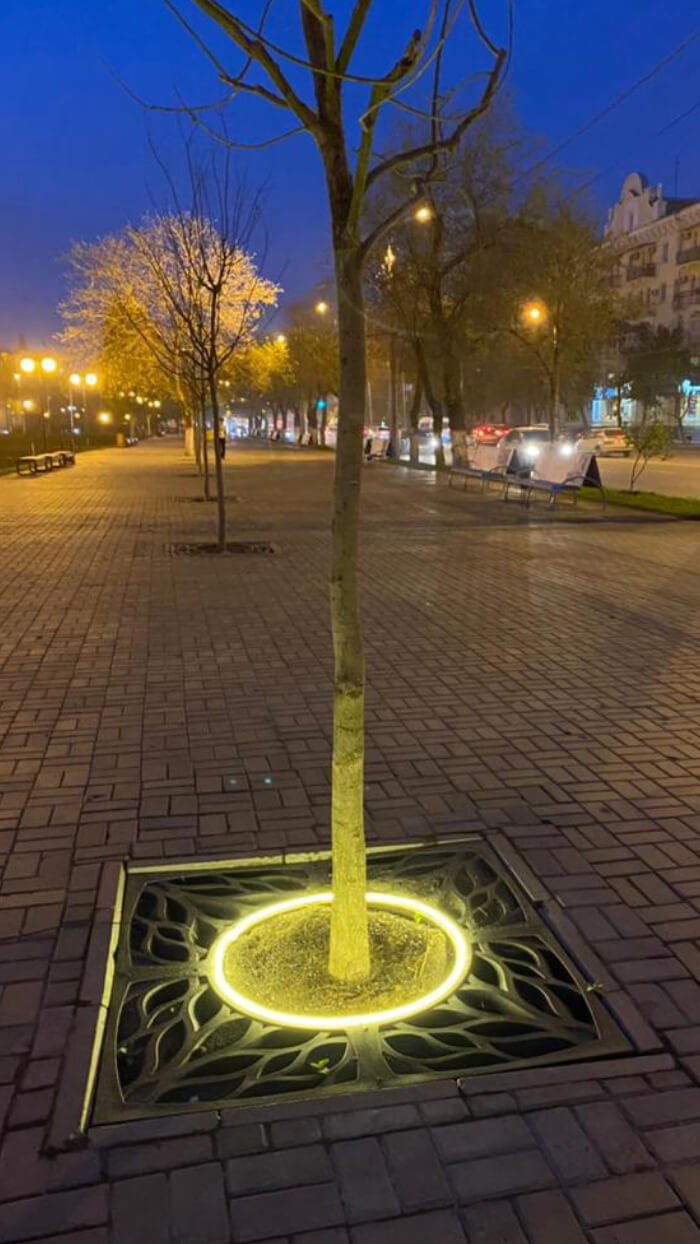 Приствольная решетка для дерева ZKING CRUST 1.2х1.2м Черная в Кирово-Чепецке фото